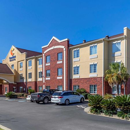 Comfort Inn & Suites Orangeburg Εξωτερικό φωτογραφία