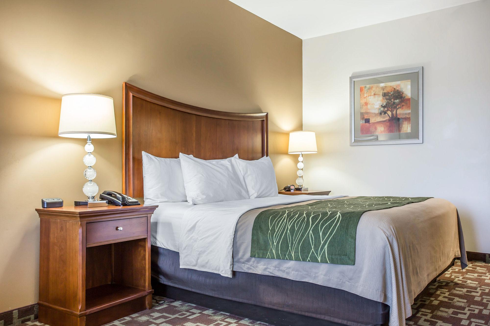 Comfort Inn & Suites Orangeburg Εξωτερικό φωτογραφία