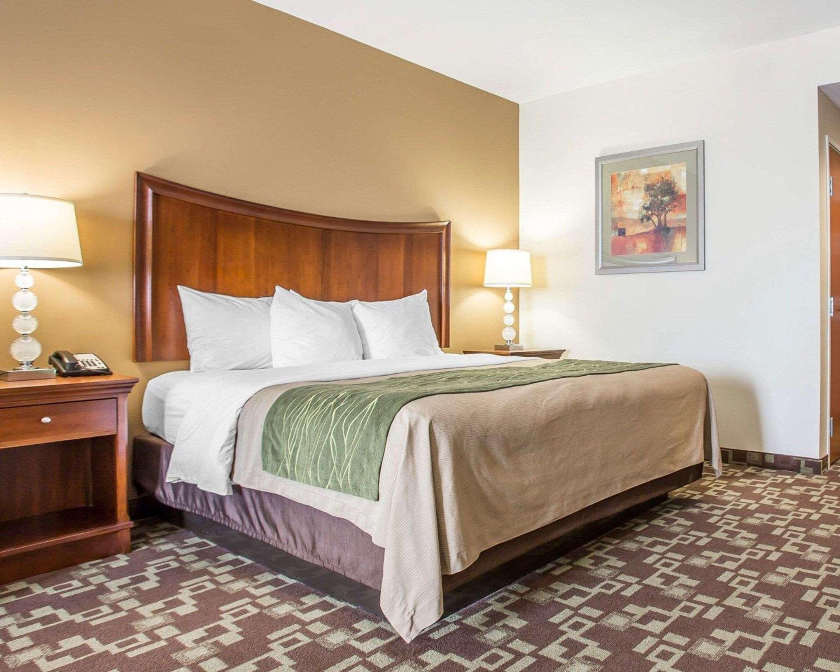 Comfort Inn & Suites Orangeburg Εξωτερικό φωτογραφία