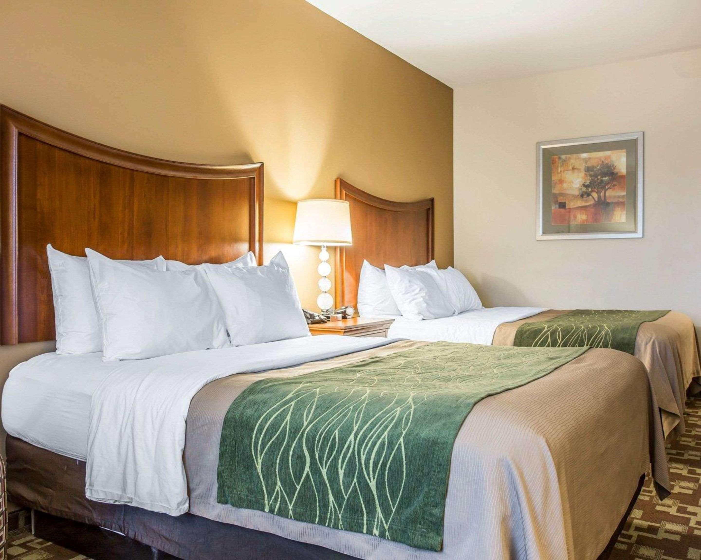 Comfort Inn & Suites Orangeburg Εξωτερικό φωτογραφία